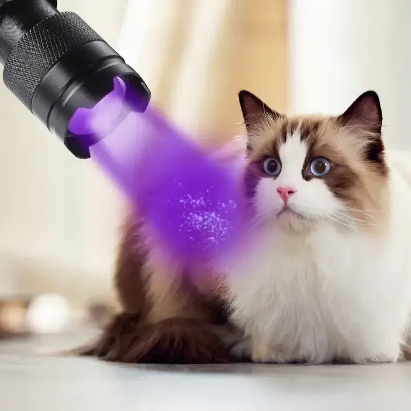 395/365nm UV Flashlight LED Ultraviolet Torch Zoomable Mini Ultra Violet Lights Inspection Lamp Pet Urine Stain Detector Tools - Image 2