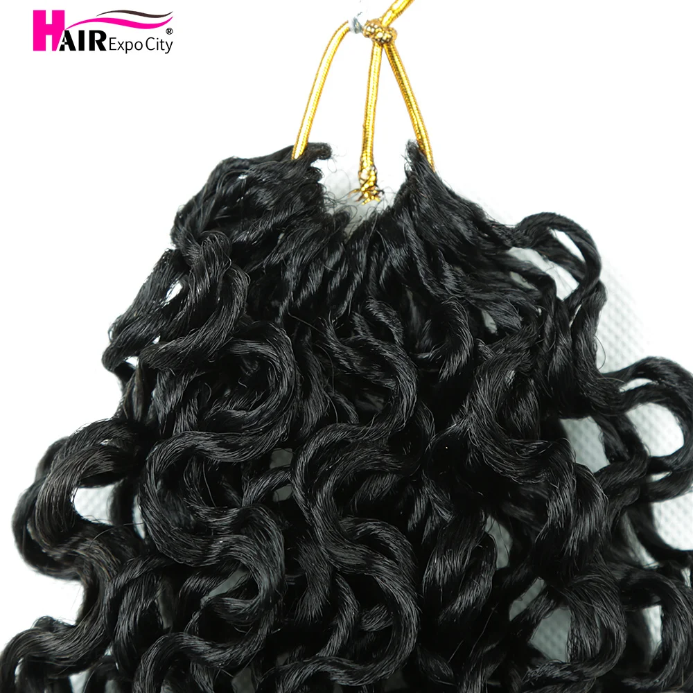 louts　THE SHISHIKUI Twist Black Zury Sis V11 Mini Twist Crochet Loop Braids - YANKY TWIST 9