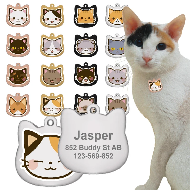 Porte-clés gravé en acier inoxydable pour animaux de compagnie, étiquettes de nom de chat personnalisées, pendentif mignon, accessoires de chaton, motif coloré 1