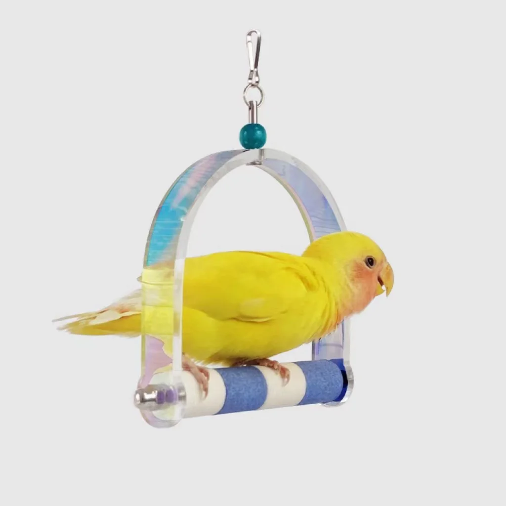 

Laser Acrylic Parrot Swing Cool Birds Standing Training Toy Acrylic Parrots Perch Stand Playstand Hanging Birds Cage Accessories