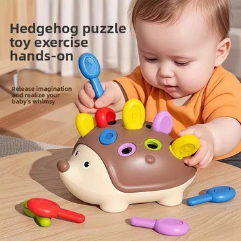 Montessori Hedgehog Toy 1