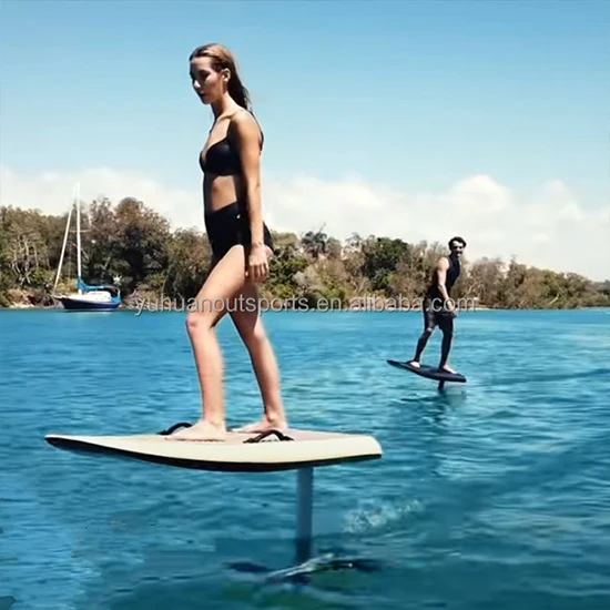 Рисунок 2 - Персонализированная электрическая