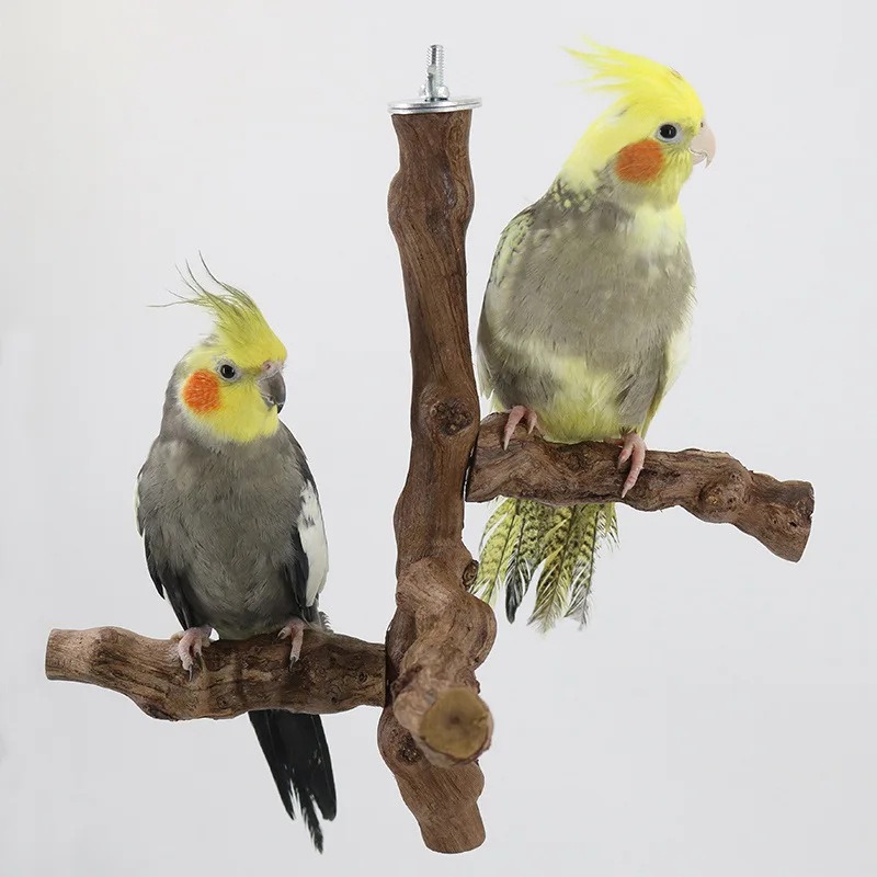 Natural Grape Vine Tree Branch Parrot Bird Game Station Frame Rod Grinding Claw Habitat Station Rod Habitat
