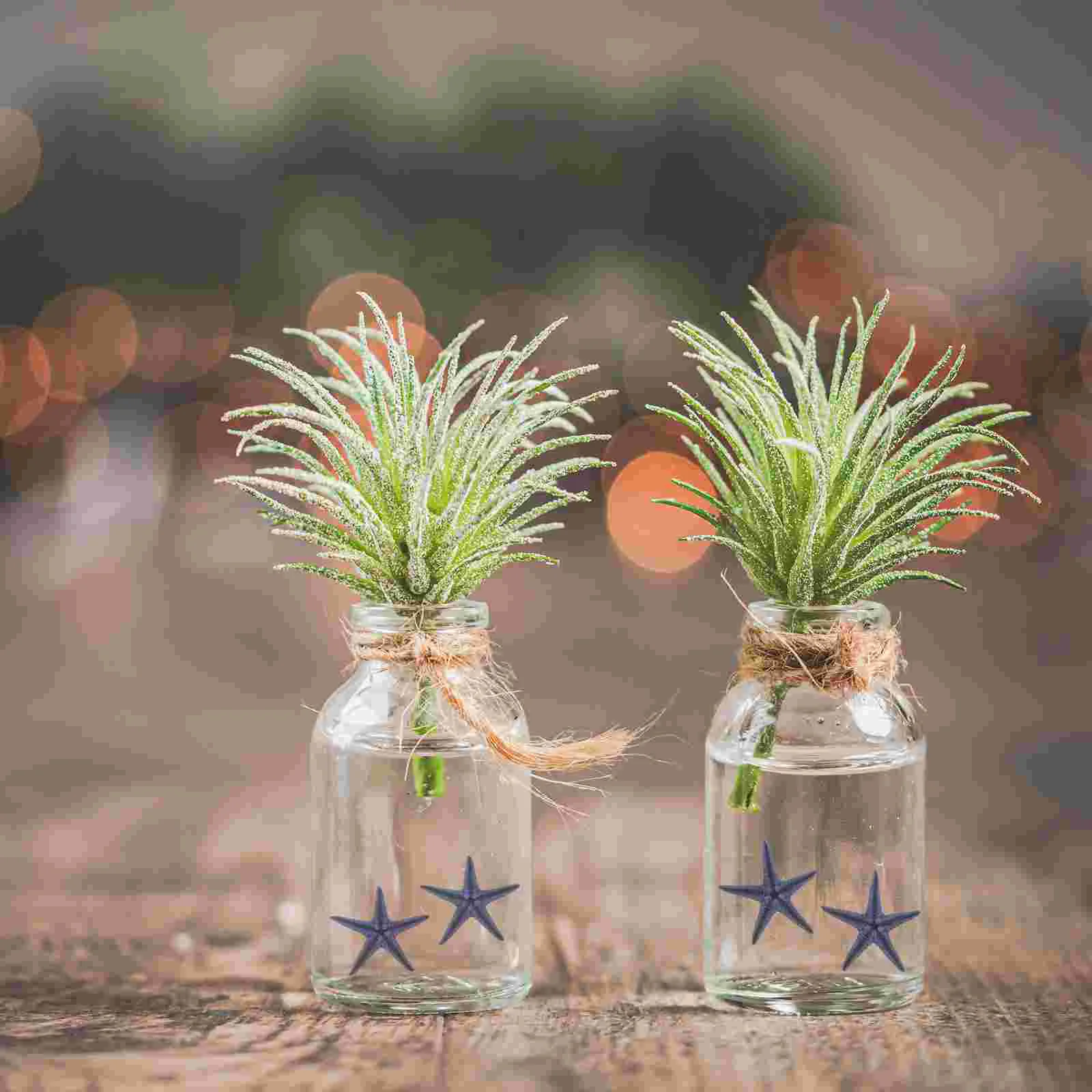 100 Pcs Vases Decor for Fish Tank Filling Exquisite Star Natural Desktop Adorn Aquarium 5