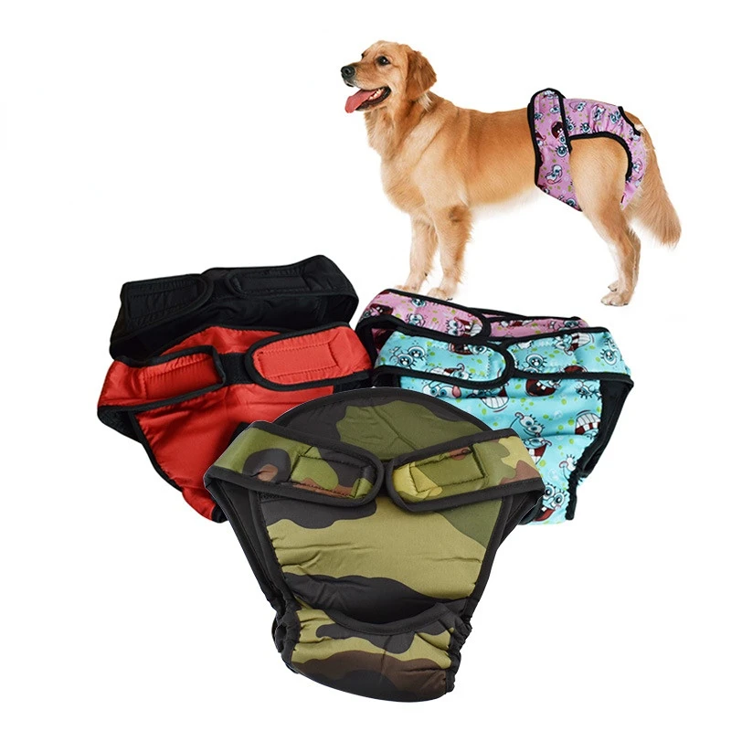 Why Do Female Dogs Eat Underwear