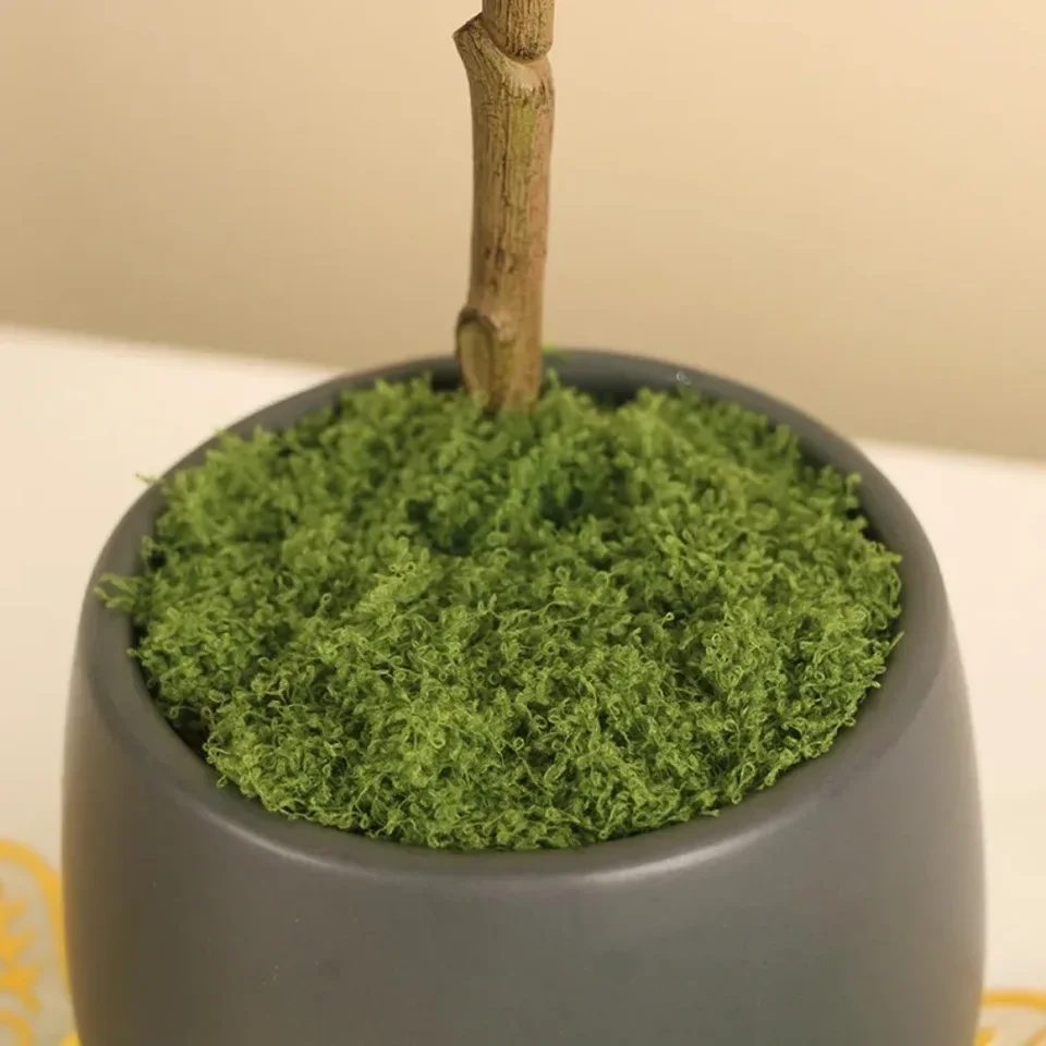 Artificial Moss Green Faux Plant Decoration