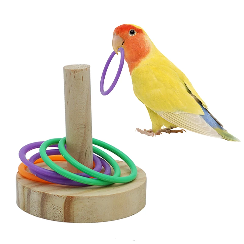 Parrot Bird Toy Parrot Bite Chewing Toy Pet Bird Swing Ball Standing Toy Plastic Rings Training Intelligence Toy Game Supplies 5