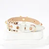 Luxury Diamond Puppy Collar Leather Pet Collar for Small Dogs Adjustable Necklace for Girl Dogs Cats with Rhinestone B Pendent 3