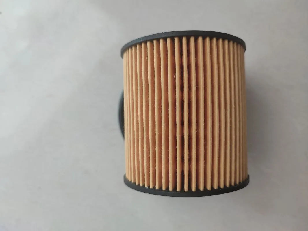 Oil filter 1109X3 for Citroen Elysee Peugeot 301/307/206/207/408/607 BMW Ford Transit car accessories car oil filter car filter car filter set