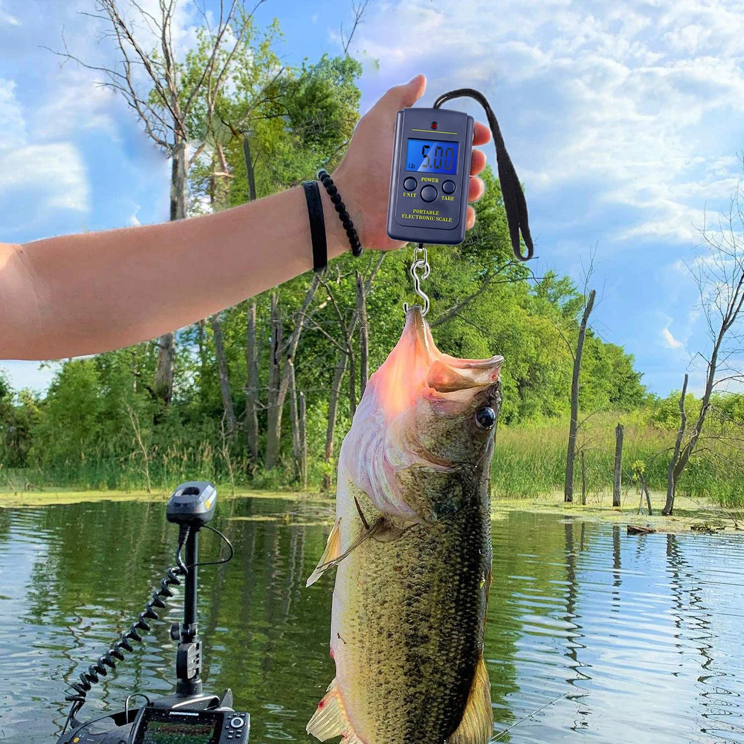 Fish Scale Bass Weight Scale Weight Scale Bass Pro Shop Fish Scale