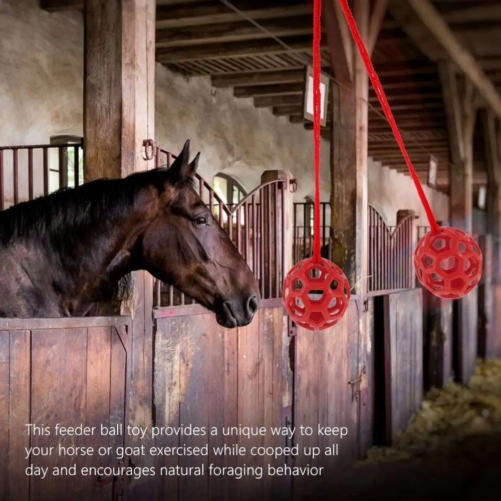 TPR Horse Treat Ball 5.5inch Circular Hanging Feeding Toy Durable Red/Blue/Green Horse Feeding Dispenser