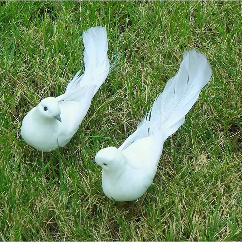 Witte Sierduiven Met Een Prachtige, Weelderige Staart Stock Foto