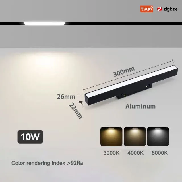 Floodlight 10W