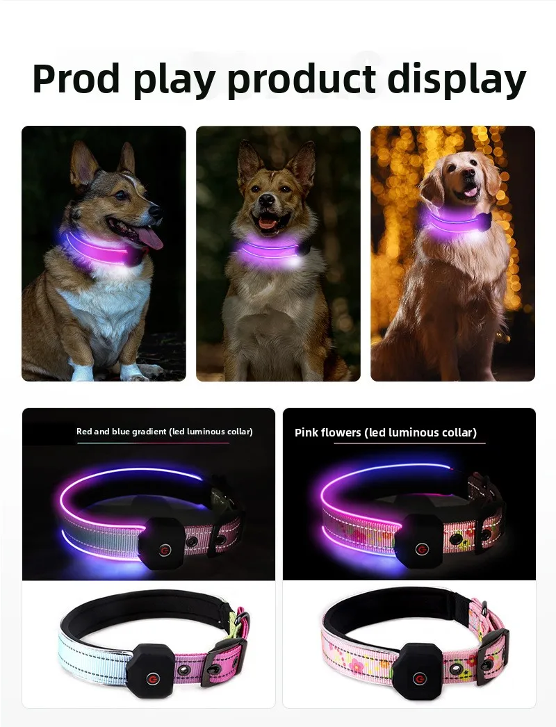 Three dogs (Corgi, Mixed Breed, and Golden Retriever) wearing glowing LED luminous collars in purple and pink during nighttime outdoor settings.