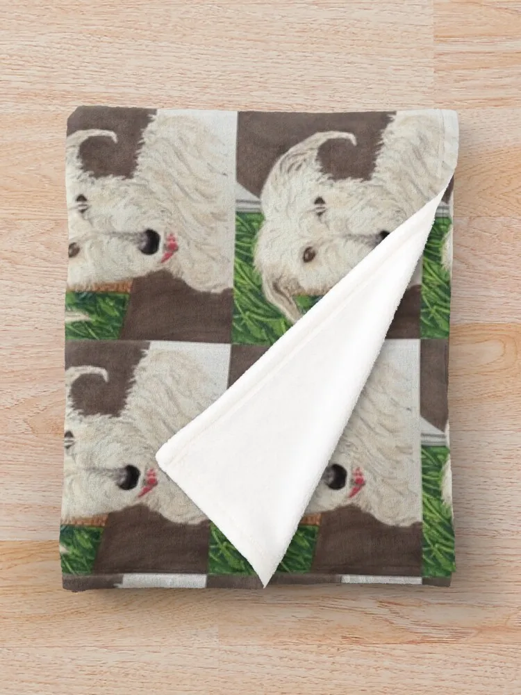 Scruffy Lurcher ������ ���, ħ��� ���� �ε巯�� ���, ���Ŀ� ���� ����