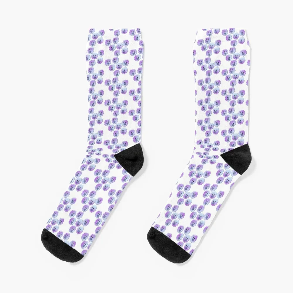 

The Platelets Socks sheer kawaii crazy Men Socks Luxury Brand Women's