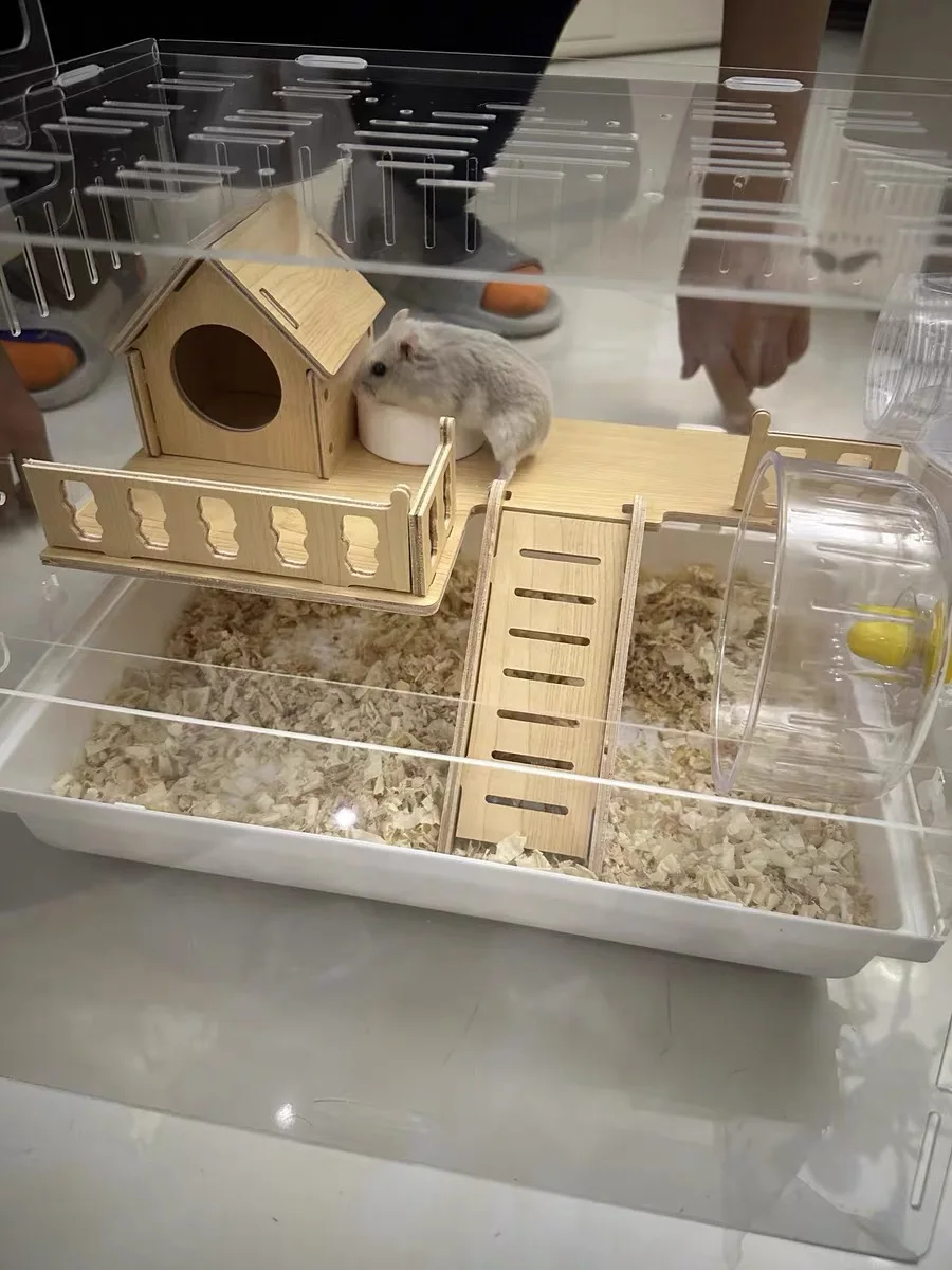 Photo inspiration: Fresh Look at Large Spacious Small Animal Cage Full View Transparent Chew Proof