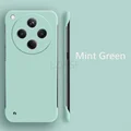 Mint Green