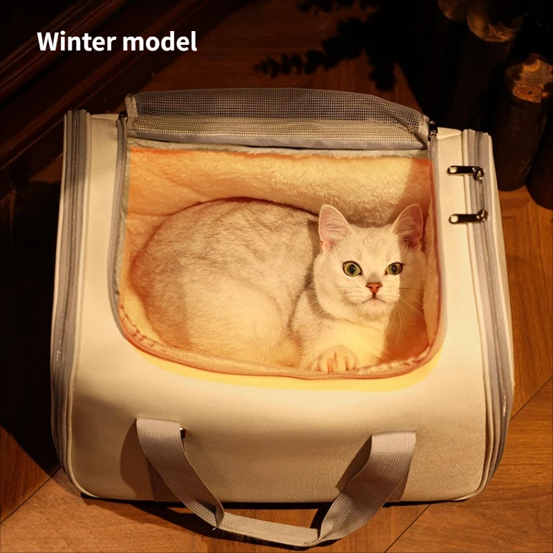 Winter model
