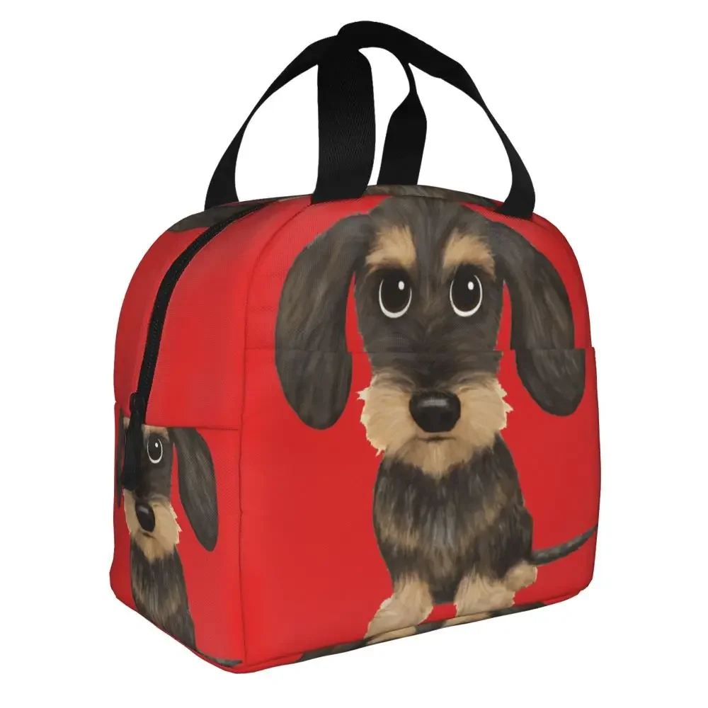 wirehaired-dachshund-lunch-bag-leakproof-thermal-bento-box-tote