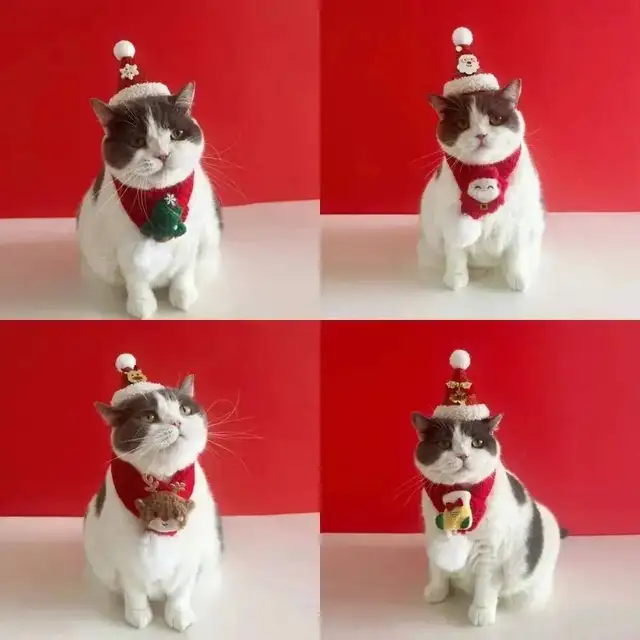 Christmas Cat Hat Cat Knitted Scarf Set Soft Winter Christmas Soft Santa Claus Costume Scarf For Dog Cats Pet Xmas Cat Supplies 5
