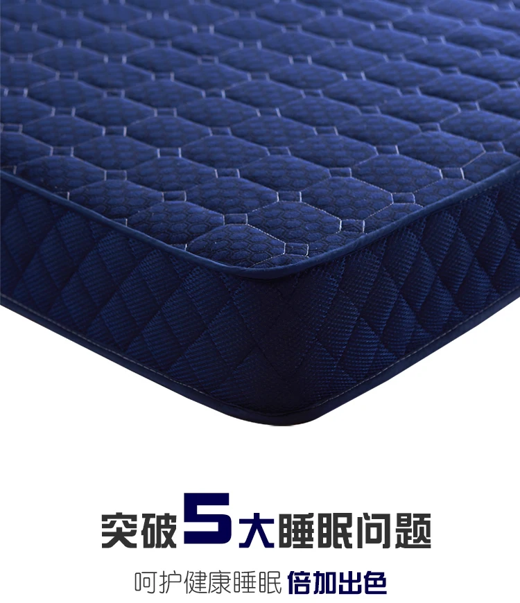 Description Picture 5 of itemTatami Mattress cushion student dormitory single double mat sponge pad thin summer mat quilt thickened household mattress