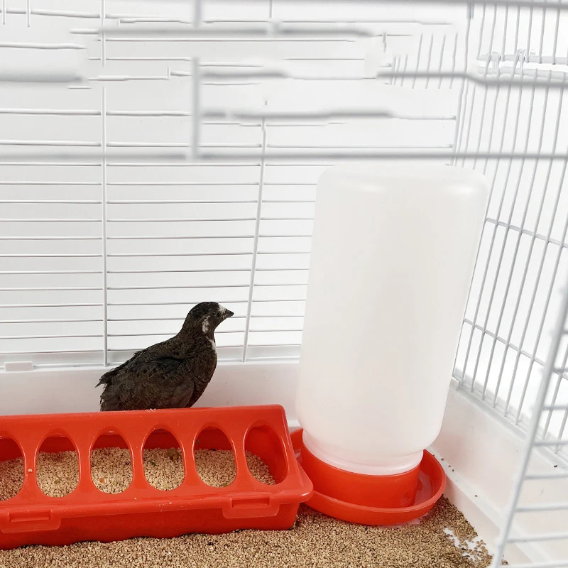 Poultry Thickened Feeder And Drinker Water Food Dispenser Automatic Chicken Birds Chick Waterer Feeding Bucket Container poultry water dispenser poultry feeder poultry waterer