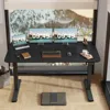 Electric Height Adjustable Standing Desk Large 55 x 24 Inches Sit Stand Up Desk Home Office Computer Desk Memory Preset 4