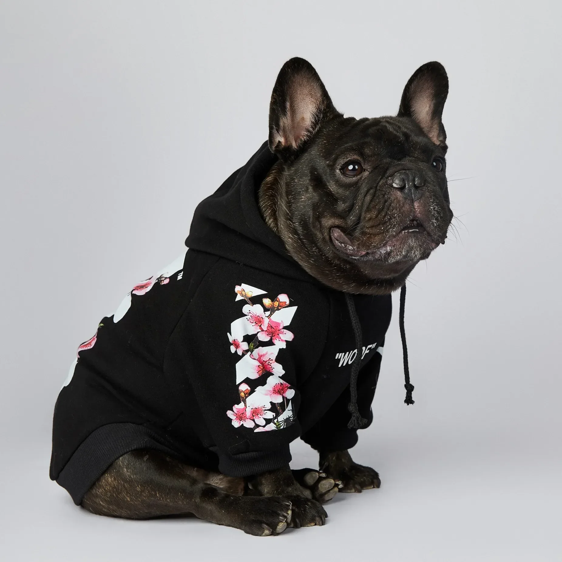 Pet Clothes NONOR Dog Clothes WOOF Fashion Sakura Dog Jacket Pet Hoodies Winter French Bulldog Pugs Sports Jacket M-4XL
