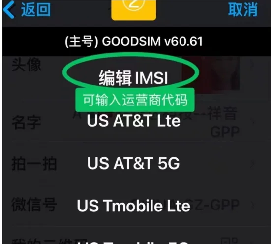 Goodsim-V60.61, QPE 포함, IP6 6P 7 7P 8 8P 14promax