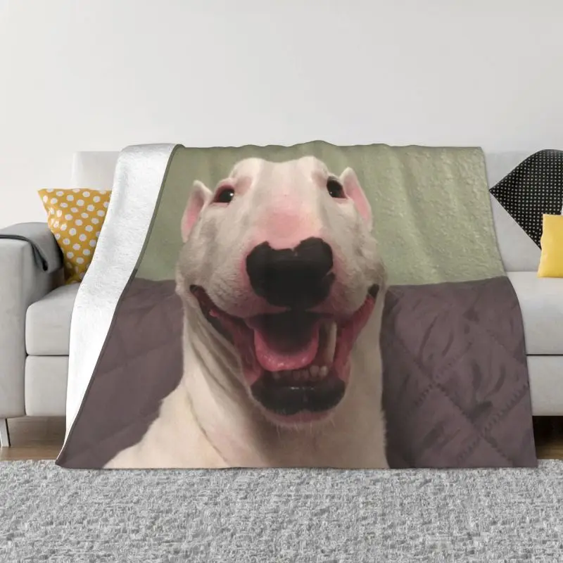 

Bull Terrier Funny Dog Blanket Soft Fleece Autumn Warm Flannel Funny Meme Puppy Throw Blankets for Sofa Car Bed Quilt
