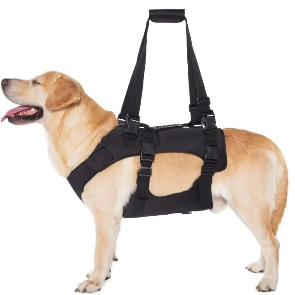 Imbracatura di Sollevamento per Cani con Cinghie Regolabili, Imbottitura Larga per la Pancia, Supporto Completo per il Corpo, Ausilio per la Mobilità, Maniglia di Sostegno, Resistente - immagine 5