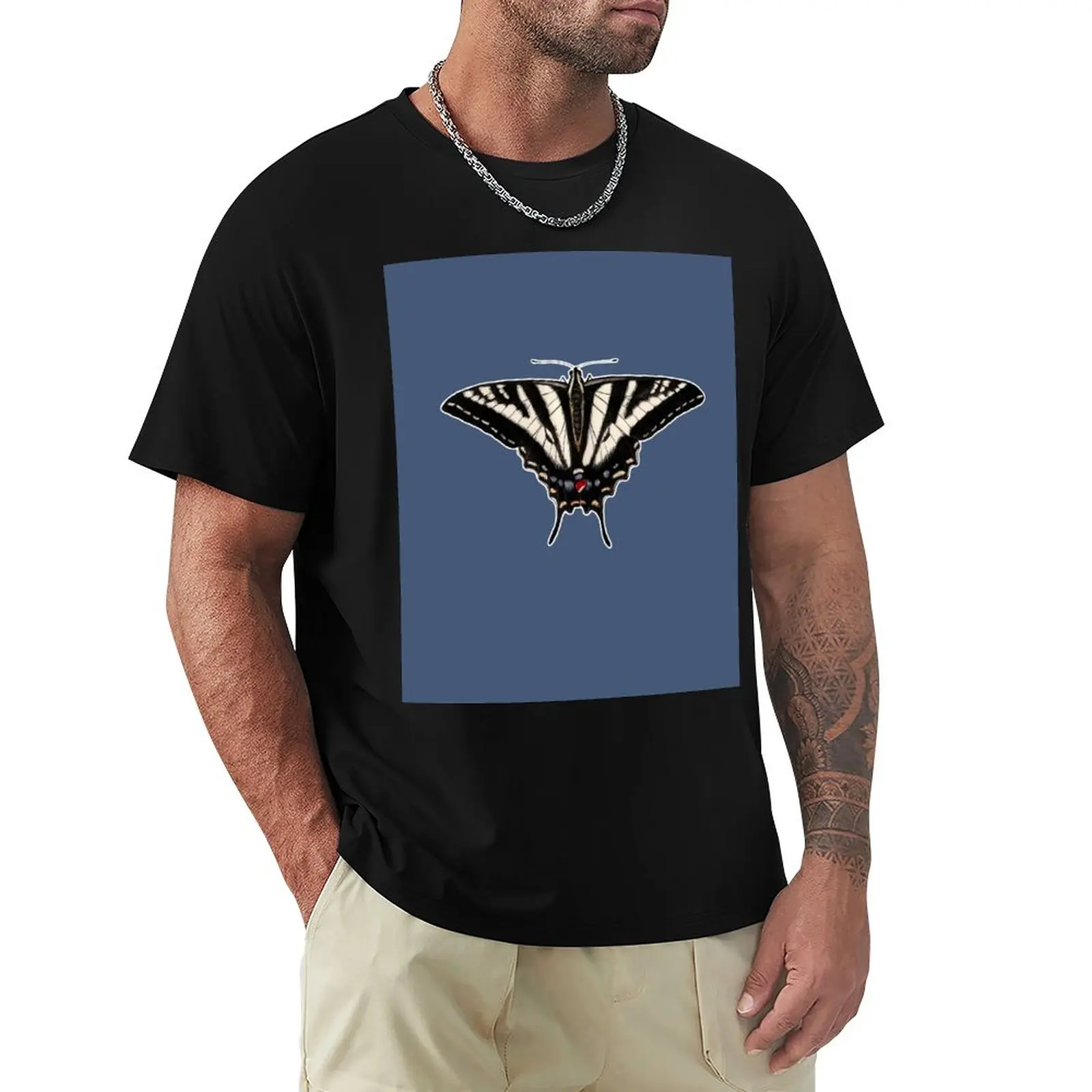 

Pale Swallowtail (Papilio eurymedon) T-Shirt sweat shirts t shirt man mens tall t shirts
