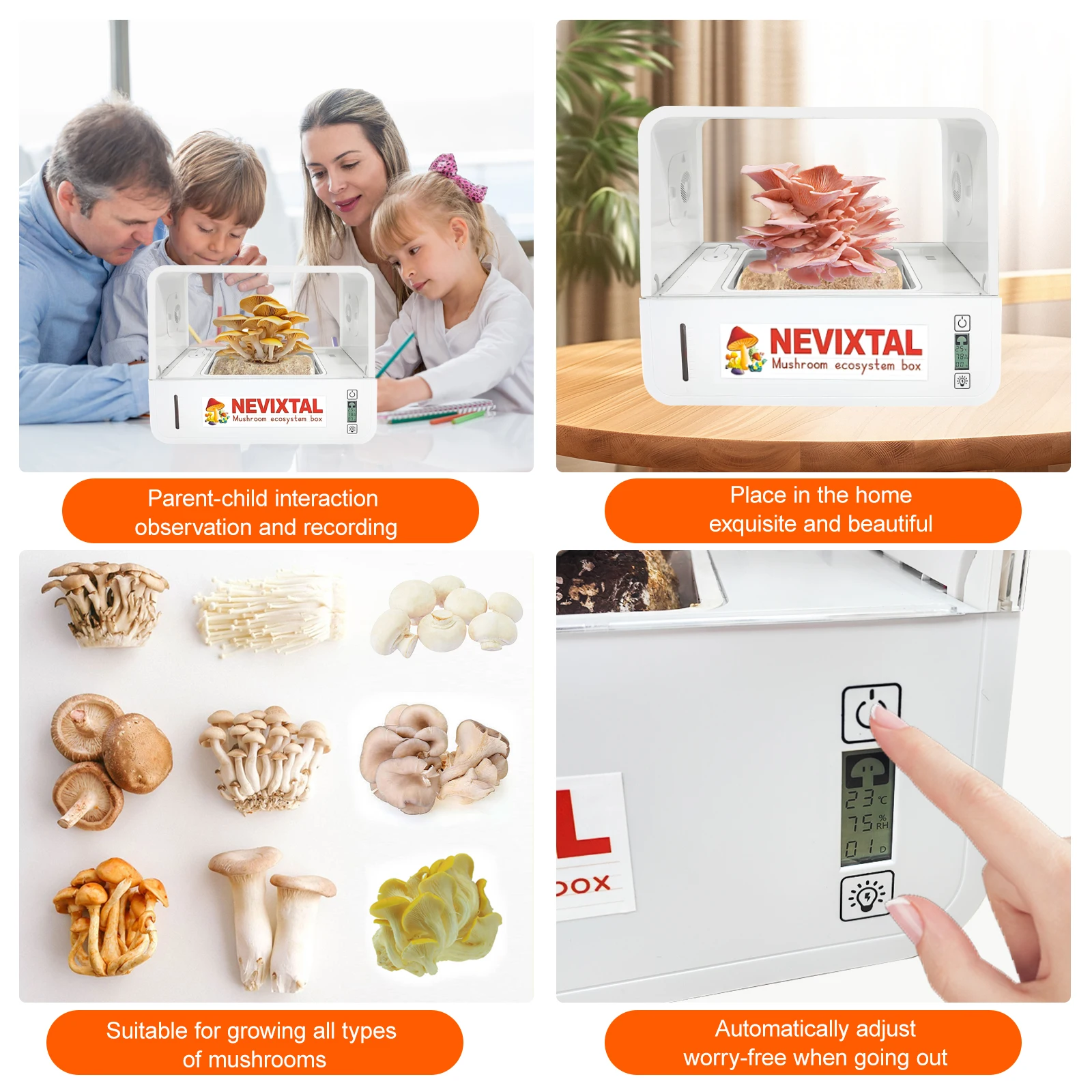 Slide image b1c4f4c6192f4bd89747526bcdf6aa9c