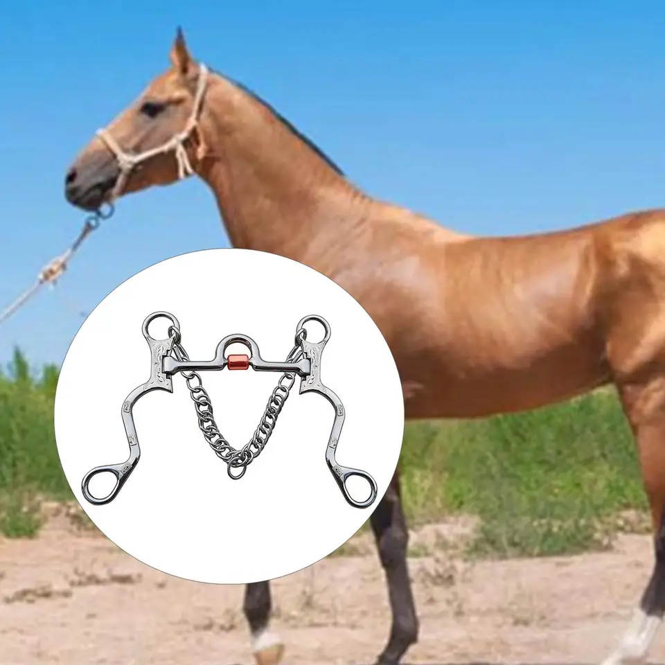 Embout Cuivre Cheval Western Embout De Correction Pour Mors De Cheval