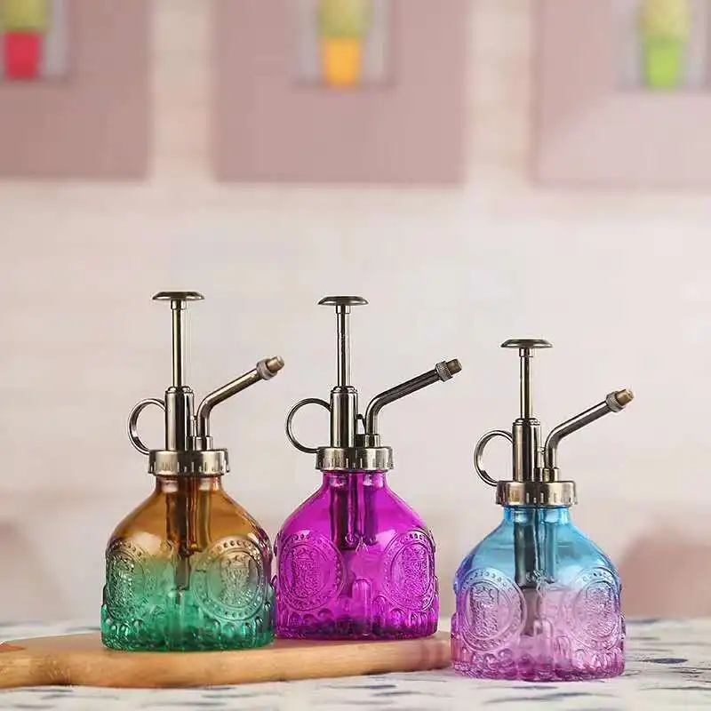 Retro transparent embossed glass watering pot succulent watering pot small spray press empty bottle