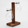 Hydroponic Planter with Wooden Stand Plant Propagation Station Bulb Glass Hydroponic Plant Vase for Home Office Garden Decor 5
