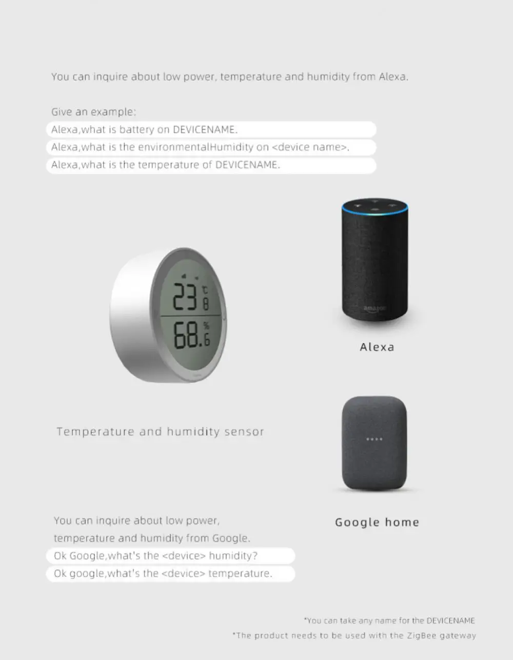 Wire Probe, Via Alexa Google Home