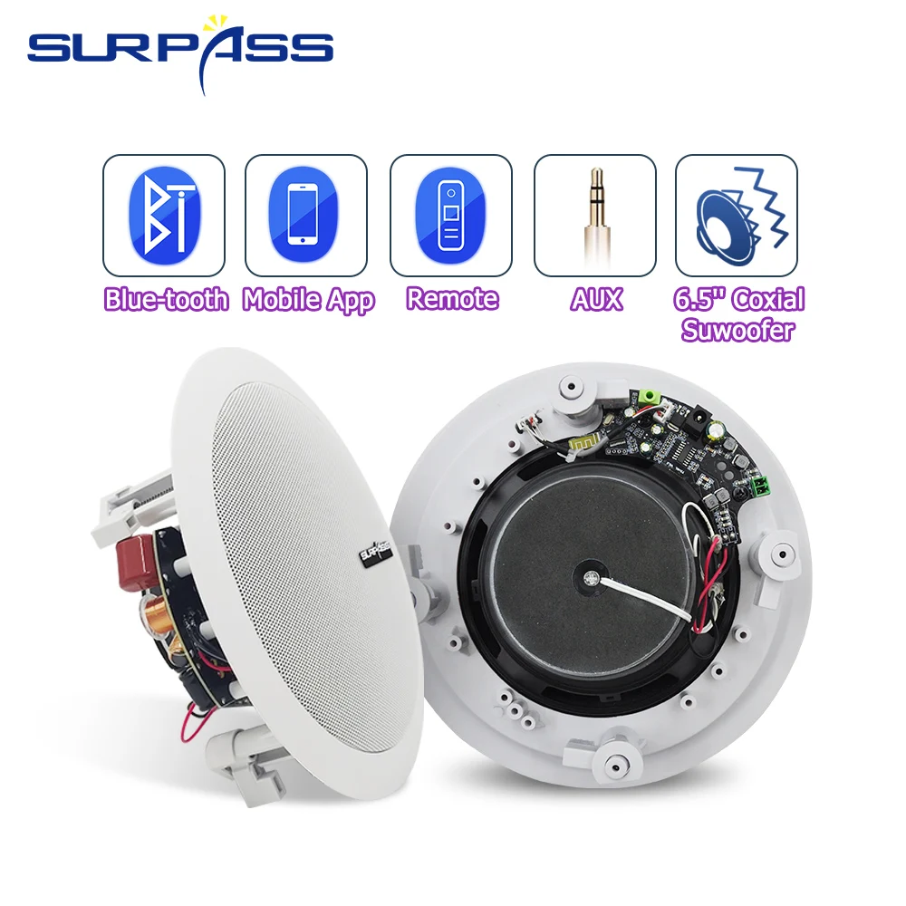Home Bt Ceiling Speakers Built In Class D Amplifier White Roof Loudspeaker House Pa System 30w