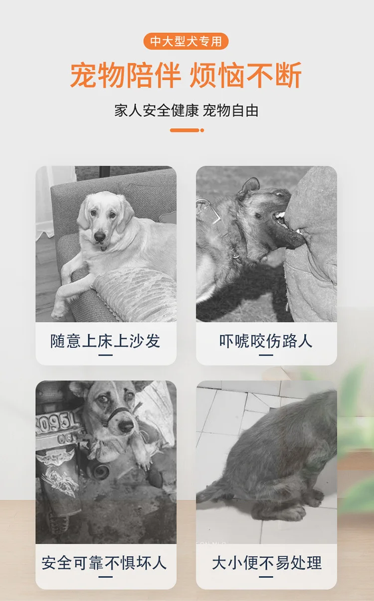 8c260c58-5f9a-49d6-b35c-3621e3b4f0a0.jpe