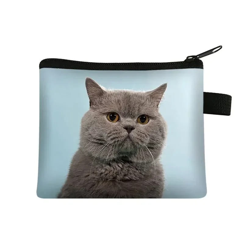 Cartoon Cat Print Coin Purse and Card Holder