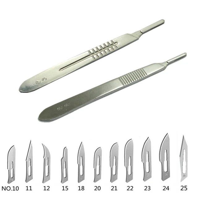 No. 24 Dissection Scalpel Blades