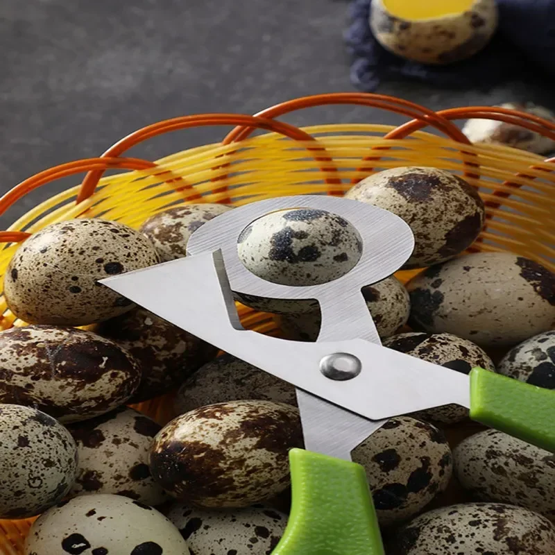 Egg Shell Opener Egg Shell Scissors Egg Opener Stainless Steel Quail Egg Shell Opener Roasted Bird Egg Scissors Eggshell Opening Divider Kitchen Cooking Tools