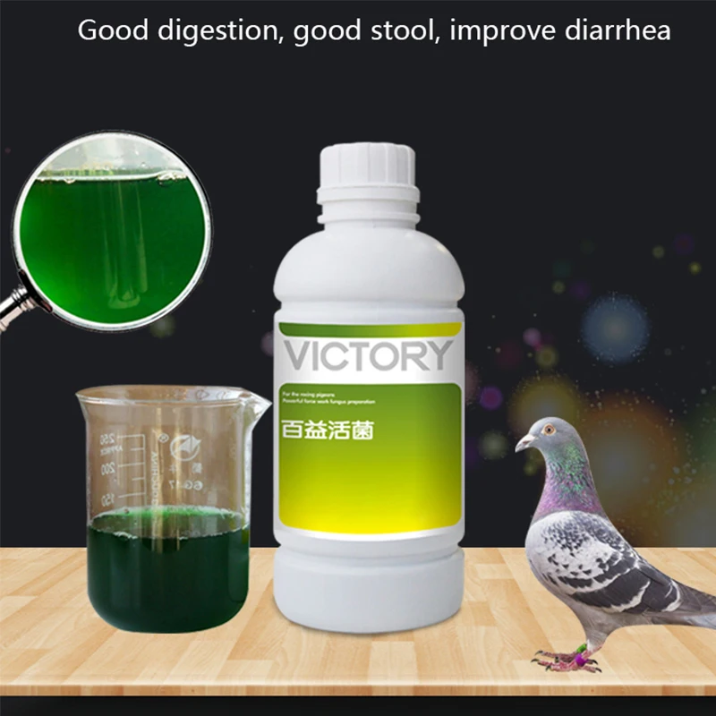 

Pigeon Gastrointestinal Probiotics 500ml Meat Pigeon Racing Pigeon Homing Pigeon Diarrhea Diarrhea Green Will Help Digestion And