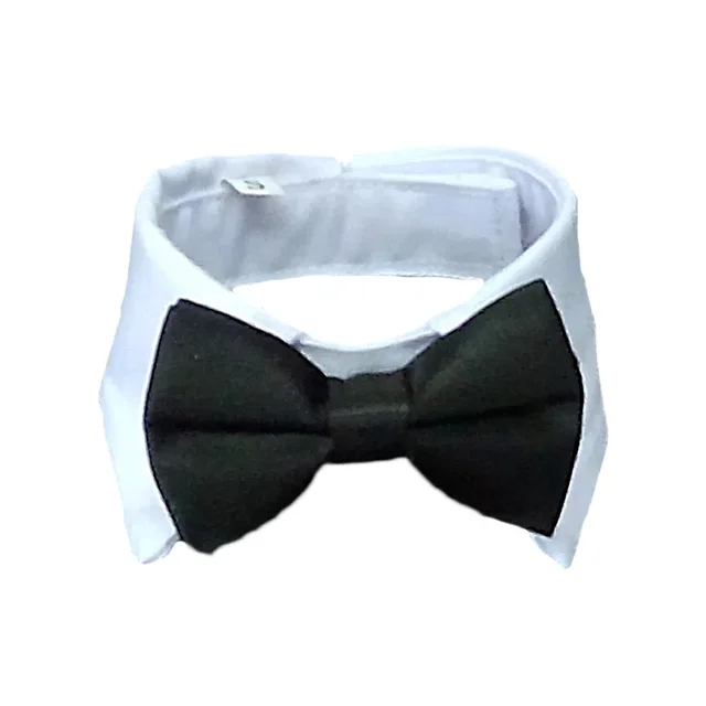 cravat