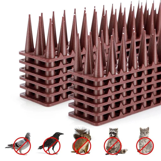 Echantillon Filet anti pigeons protection chat