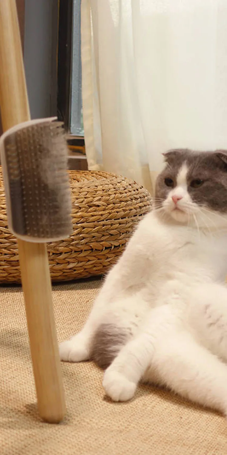 Title 2, Cat Brush Comb Hair removal Cat Self Groomer Wa...