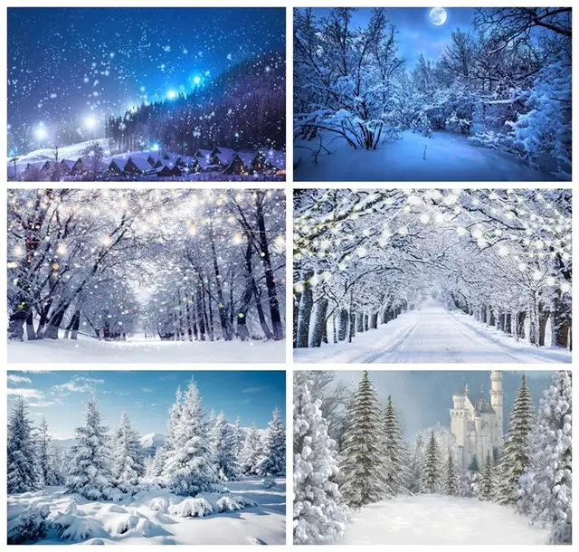 눈 덮인 겨울 원더랜드의 주목할 만한 사진 배경