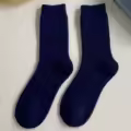 ZL