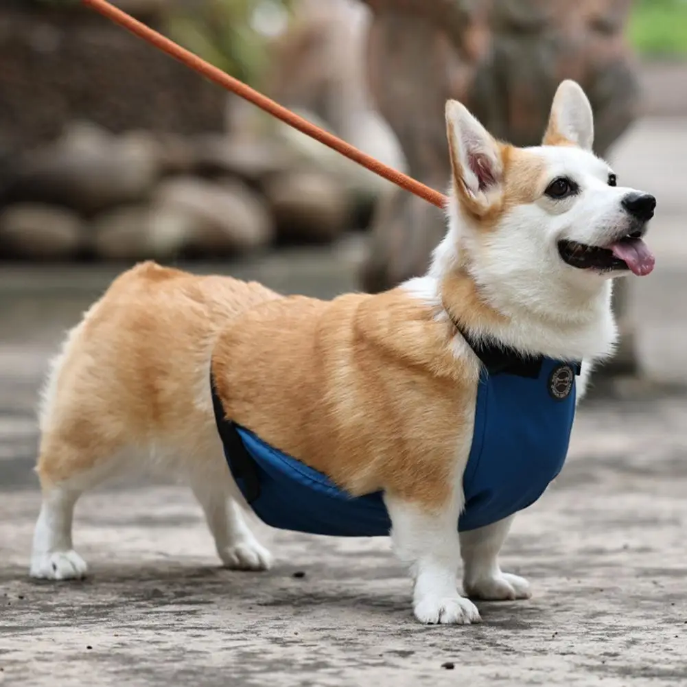 Breathable Belly Band Dog Anti-Dirty Cloth Waterproof Belly Cover Pet Band Dog Clothes Pet Supplies